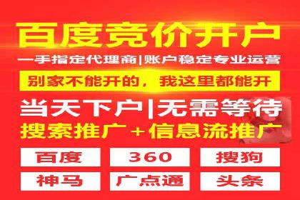 行业领先企业的SEM广告投放策略案例